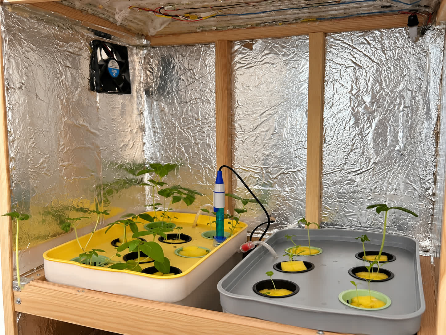 GrowBox prototip kabininde bitkiler, fan ve pH probu